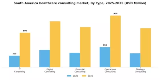 South America Healthcare Consulting Services Market Segment Image 2