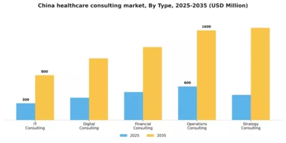 China Healthcare Consulting Services Market Segment Image 2