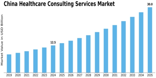 China Healthcare Consulting Services Market Size