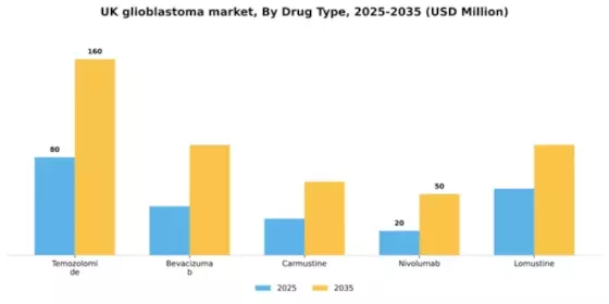 UK Glioblastoma Market Segment Image 1