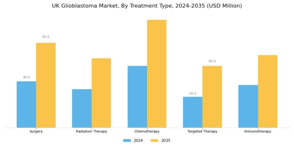 UK Glioblastoma Market Segment Image 0