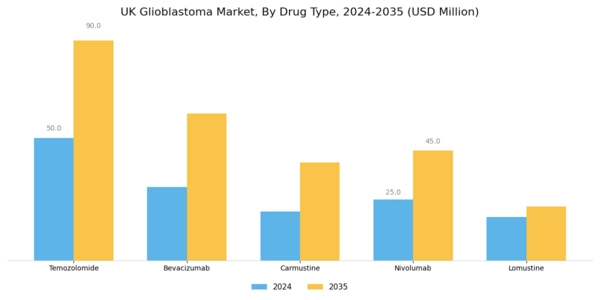 UK Glioblastoma Market Segment Image 1