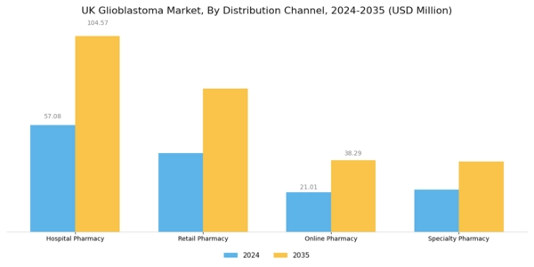 UK Glioblastoma Market Segment Image 2