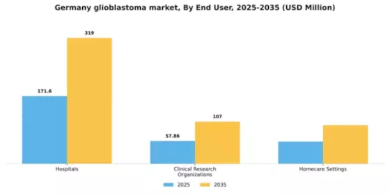 Germany Glioblastoma Market Segment Image 2