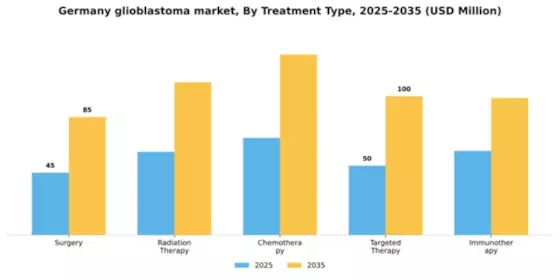 Germany Glioblastoma Market Segment Image 3