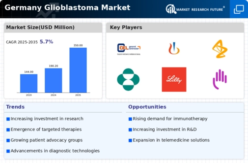 Germany Glioblastoma Market Infographic