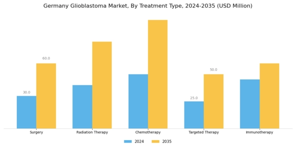 Germany Glioblastoma Market Segment Image 0