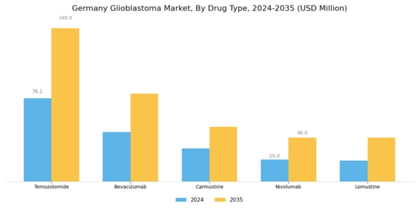 Germany Glioblastoma Market Segment Image 1