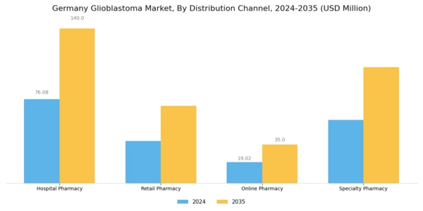 Germany Glioblastoma Market Segment Image 2
