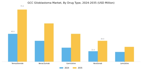 GCC Glioblastoma Market Segment Image 1