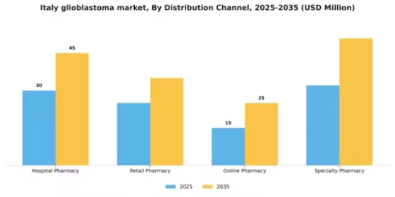 Italy Glioblastoma Market Segment Image 0