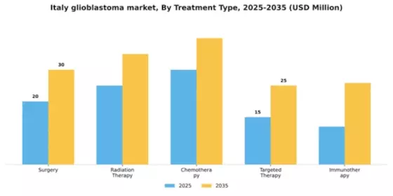 Italy Glioblastoma Market Segment Image 3
