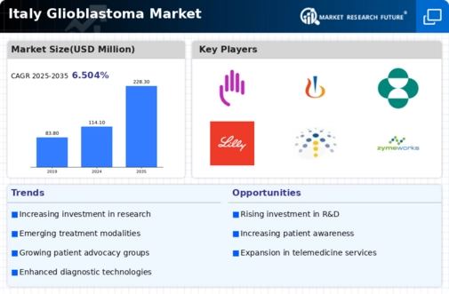 Italy Glioblastoma Market Infographic