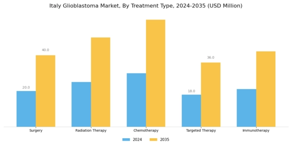 Italy Glioblastoma Market Segment Image 0