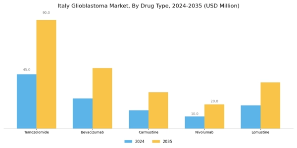 Italy Glioblastoma Market Segment Image 1