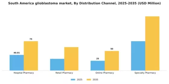 South America Glioblastoma Market Segment Image 0