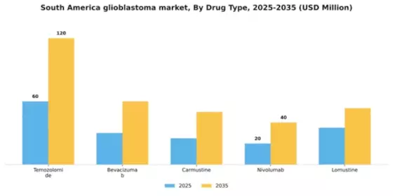 South America Glioblastoma Market Segment Image 1