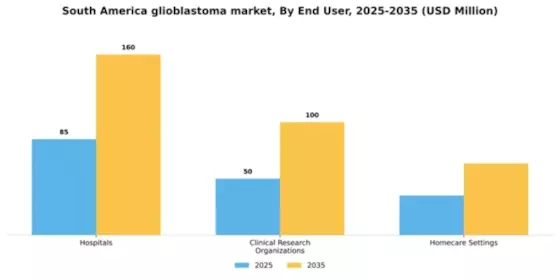 South America Glioblastoma Market Segment Image 2