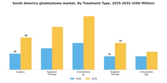 South America Glioblastoma Market Segment Image 3