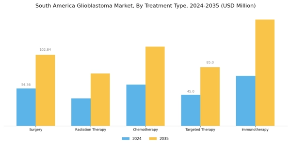 South America Glioblastoma Market Segment Image 0