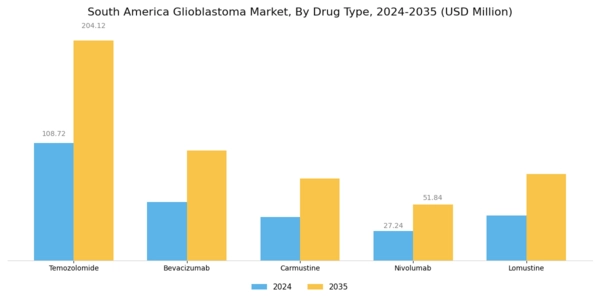South America Glioblastoma Market Segment Image 1