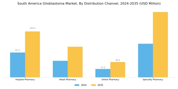 South America Glioblastoma Market Segment Image 2