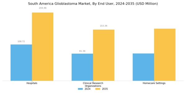South America Glioblastoma Market Segment Image 3