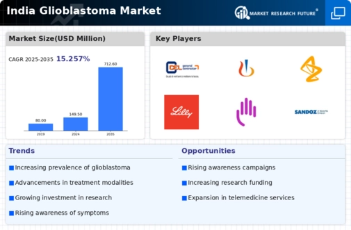 India Glioblastoma Market Infographic