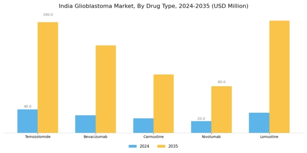 India Glioblastoma Market Segment Image 1
