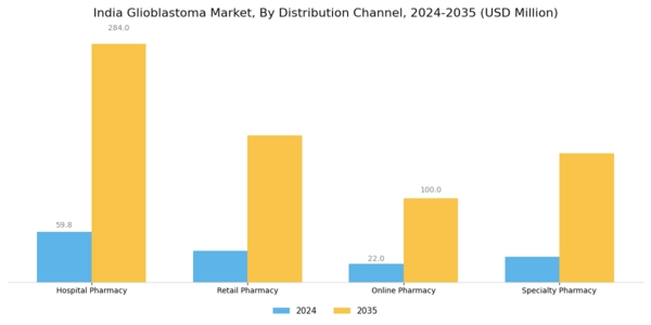 India Glioblastoma Market Segment Image 2
