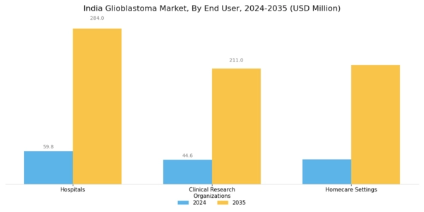 India Glioblastoma Market Segment Image 3