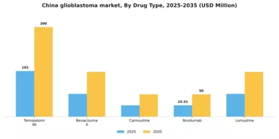 China Glioblastoma Market Segment Image 1