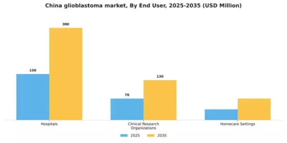 China Glioblastoma Market Segment Image 2