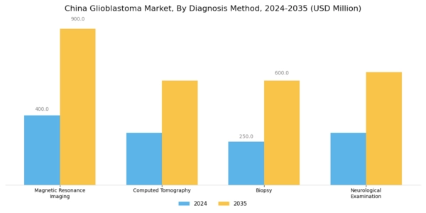 China Glioblastoma Market Segment Image 2