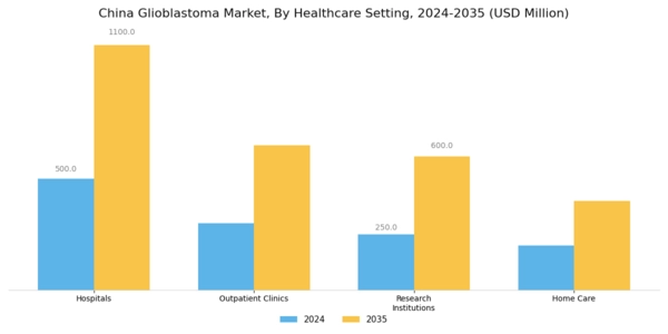 China Glioblastoma Market Segment Image 3