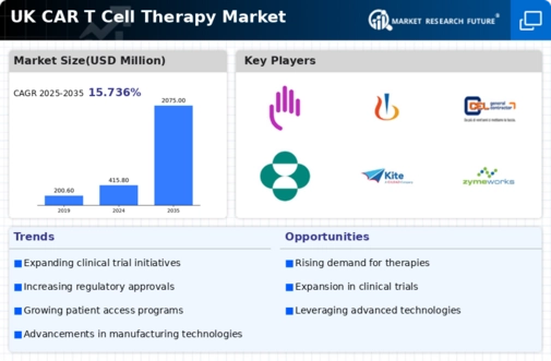 UK Car T Cell Therapy Market Infographic