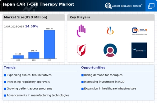 Japan Car T Cell Therapy Market Infographic