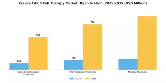 France Car T Cell Therapy Market Segment Image 2