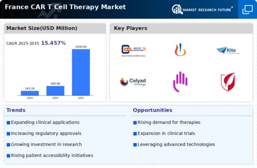 France Car T Cell Therapy Market Infographic