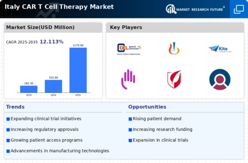 Italy Car T Cell Therapy Market Infographic