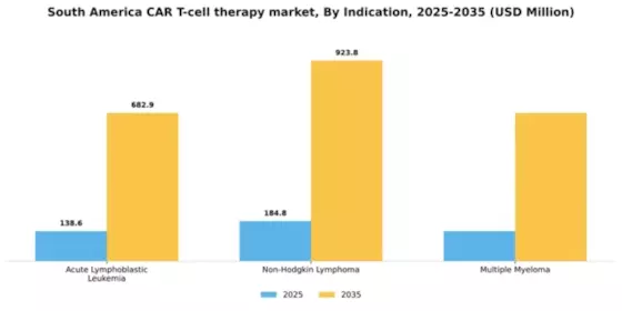 South America Car T Cell Therapy Market Segment Image 2