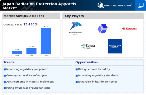 Japan Radiation Protection Apparels Market Infographic