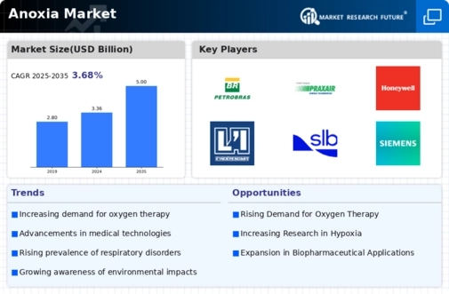 Anoxia Market research report- Global forecast till 2035 Infographic
