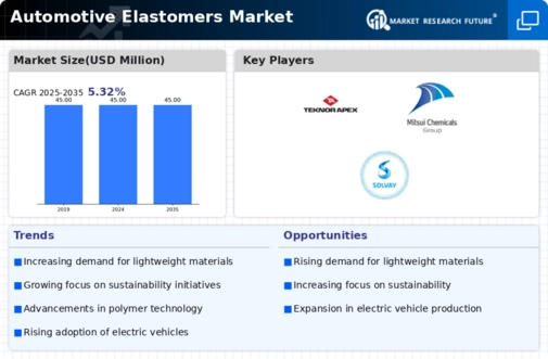 Automotive Elastomers Market Infographic