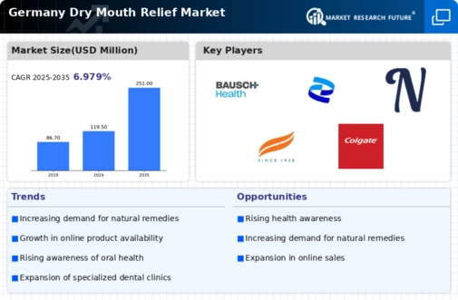 Germany Dry Mouth Relief Market Infographic