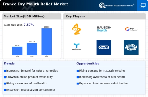 France Dry Mouth Relief Market Infographic