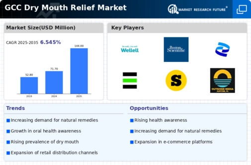 GCC Dry Mouth Relief Market Infographic