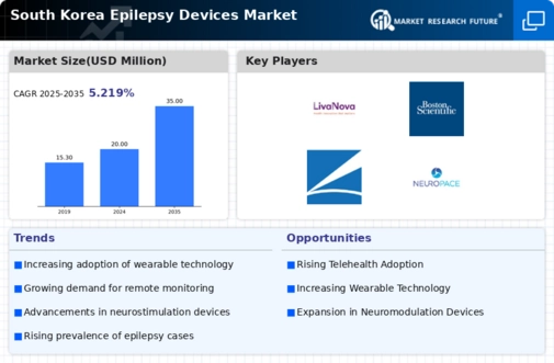 South Korea Epilepsy Devices Market Infographic