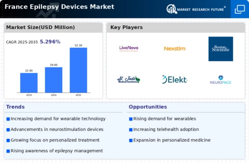France Epilepsy Devices Market Infographic