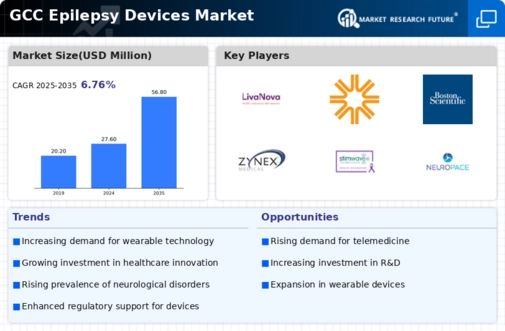 GCC Epilepsy Devices Market Infographic